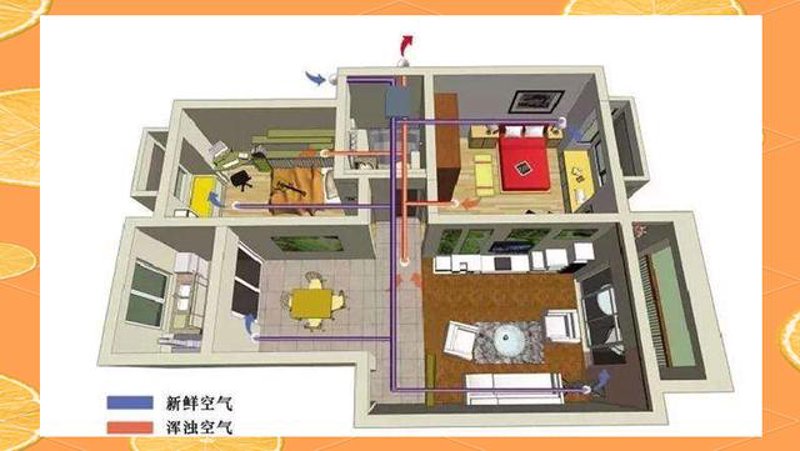 检验检疫技术中心:未来之路在哪?